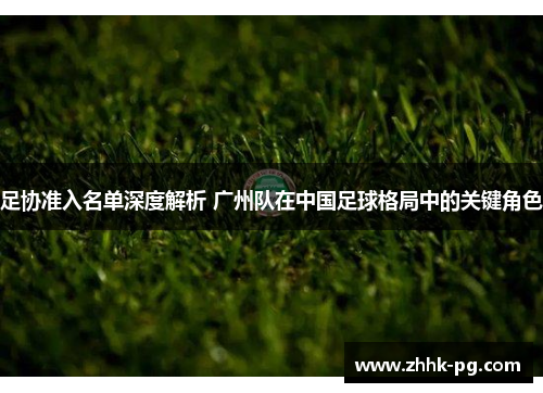 足协准入名单深度解析 广州队在中国足球格局中的关键角色