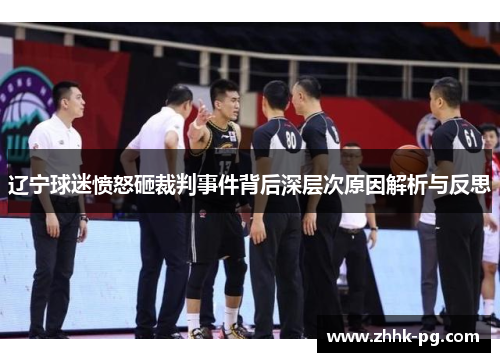 辽宁球迷愤怒砸裁判事件背后深层次原因解析与反思